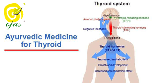 Ayurvedic Treatment for Thyroid