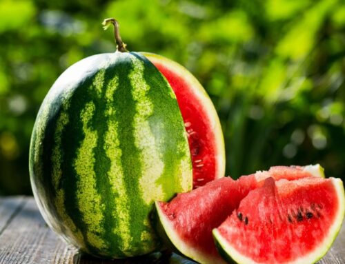 कलिंगड खाण्याचे फायदे | कलिंगड खाण्याचे फायदे सांगा | Watermelon Fruit