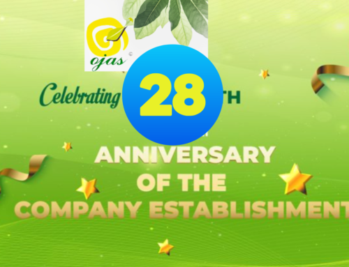 Ojas Ayurveda completes 28 years of service