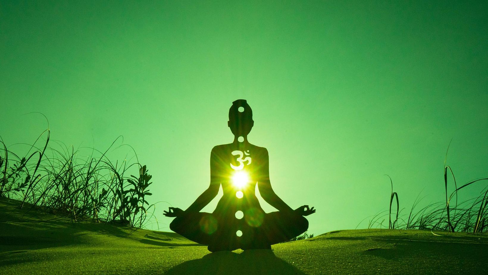 Ojas Ayurved - Total Health Care Through Consulting, Panchakarma & Medicines