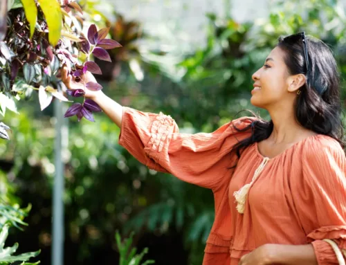 The Second Spring: An Ayurvedic Roadmap to Menopause